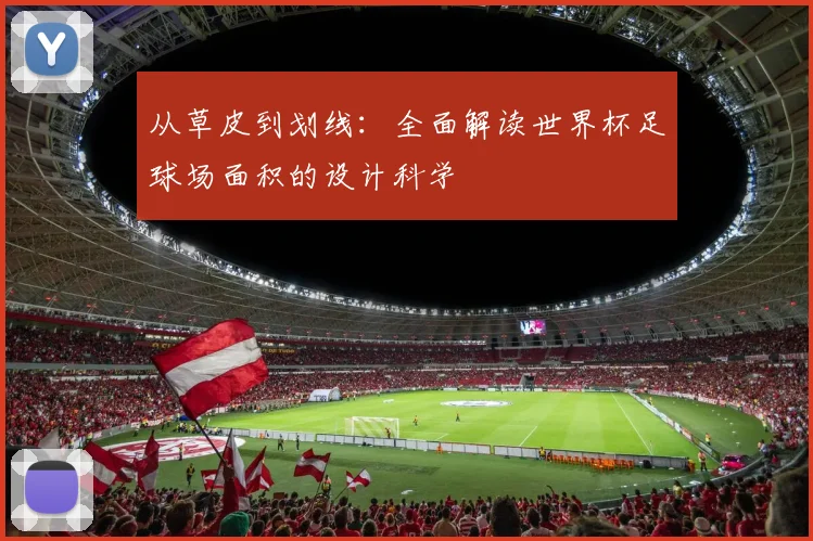 从草皮到划线：全面解读世界杯足球场面积的设计科学