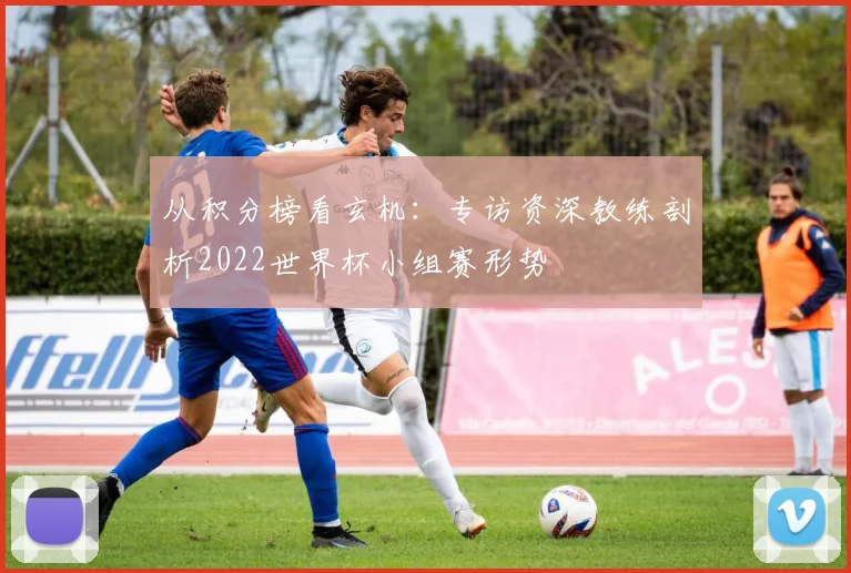 从积分榜看玄机：专访资深教练剖析2022世界杯小组赛形势