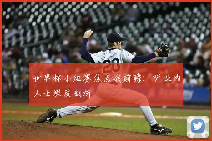 世界杯小组赛焦点战前瞻：听业内人士深度剖析